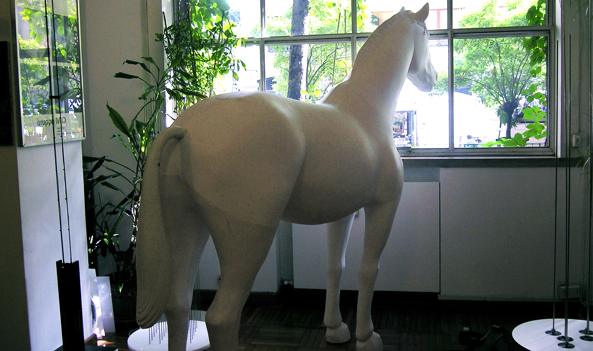 CAVALLO_NUDO_2
